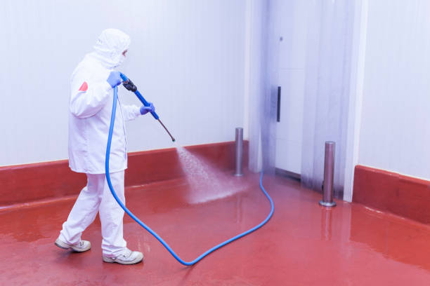 Best House Exterior Washing  in Montrose, VA