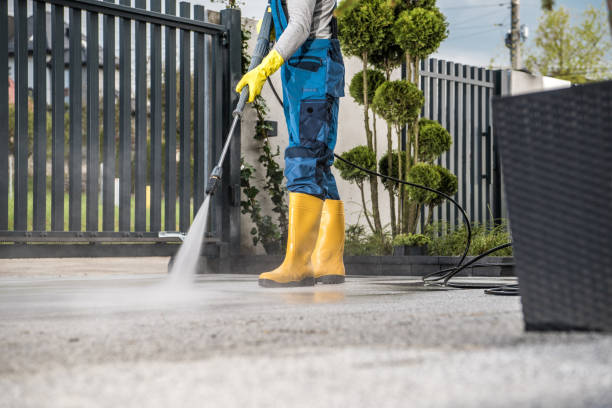 Best Roof Washing  in Montrose, VA